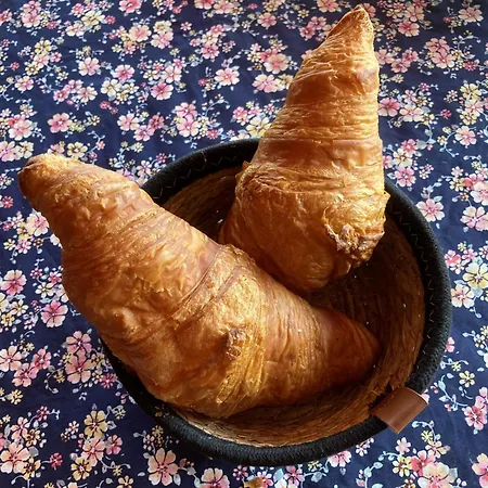 Séjour chez l'habitant La Des Jardins D'ispahan